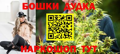 индика Коммунар
