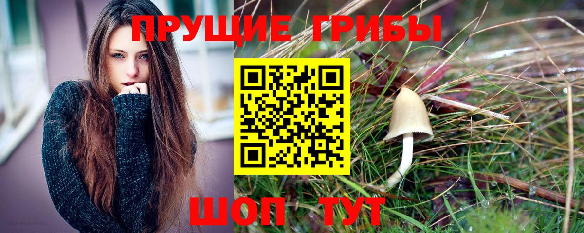 Галлюциногенные грибы MAGIC MUSHROOMS Красногорск