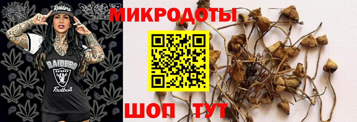 Галлюциногенные грибы прущие грибы  Вход с VPN  Красногорск 